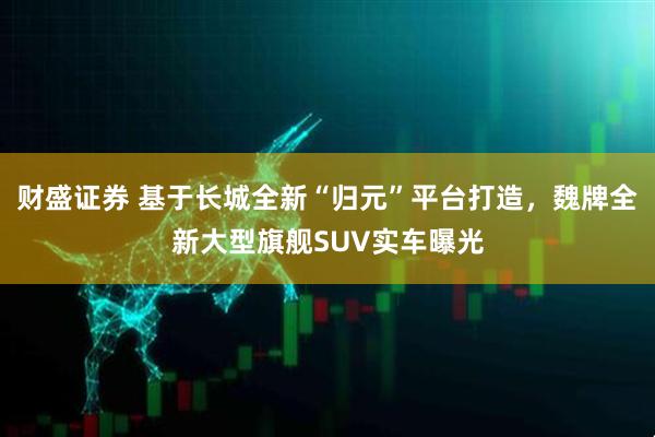 财盛证券 基于长城全新“归元”平台打造，魏牌全新大型旗舰SUV实车曝光