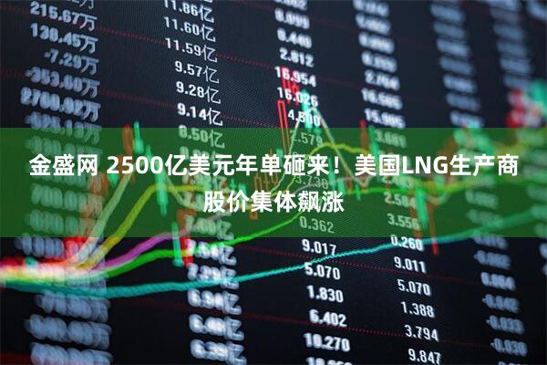 金盛网 2500亿美元年单砸来！美国LNG生产商股价集体飙涨