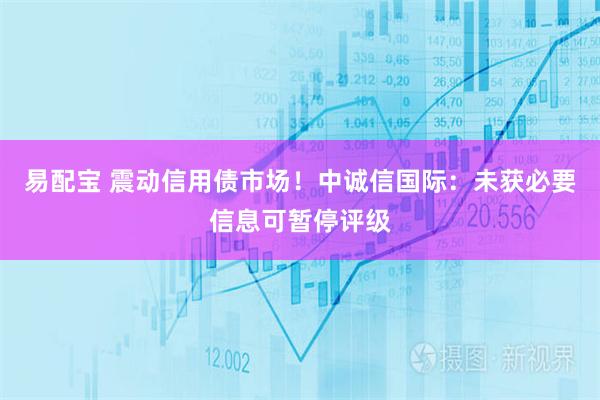 易配宝 震动信用债市场！中诚信国际：未获必要信息可暂停评级